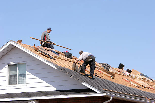 Best Roof Replacement  in Dresden, OH